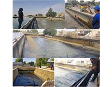 حوضچه های تصفیه خانه آب شرب بهبهان لایروبی شد