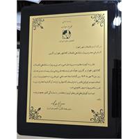 افتخاری دیگر برای شرکت آبفا خوزستان: طرح اجرایی شرکت آبفا خوزستان در سازه های بتنی حائز رتبه برتر شد