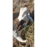 سرویس: آب ترمیم شریان حیات ۴۶ روستای هویزه پس از ۳ ساعت عملیات فشرده