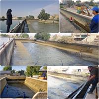 سرویس: آب حوضچه های تصفیه خانه آب شرب بهبهان لایروبی شد